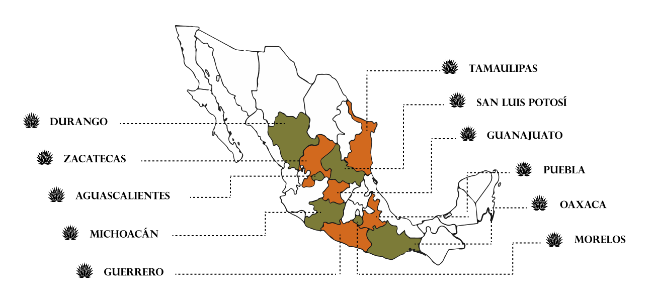 Mapa regiones mezcaleras