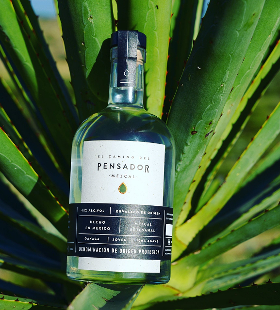 Mezcal Pensador